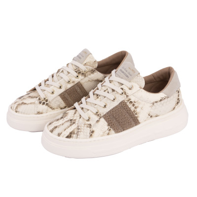 SNEAKERS STOKTON PITONATE